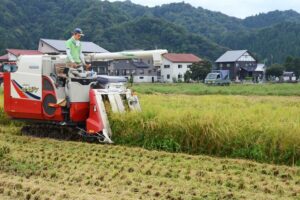 【写真】新潟県内の稲刈り作業