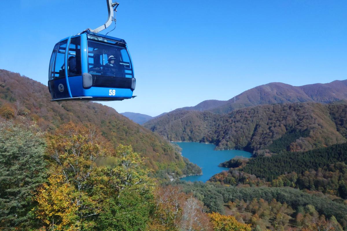 【写真】苗場ドラゴンドラから望む紅葉=23日、湯沢町三国